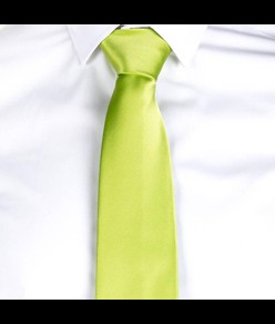 Cravatta s/nodo Garys