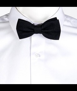 Papillon stuoia Garys