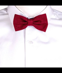 Papillon stuoia Garys