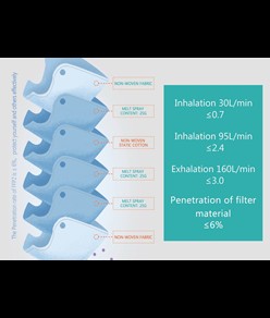 Mascherine filtranti FFP2  EFFECTIVE