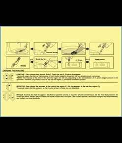 Autotest per la rilevazione dell'ulcera  HELICOBACTER PYLORI