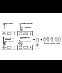 Test per la rilevazione dell'ulcera  HELICOBACTER PYLORI