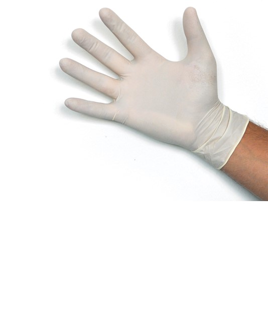 guanti in lattice  DOC Powder Free guanti in lattice  DOC Powder Free