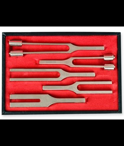 TROUSSE DIAPASON LEGA - 5 pezzi