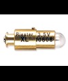 Lampadina Xenon