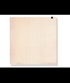 Carta termica ECG 210x295 mm - pacco da 150 f. griglia arancio
