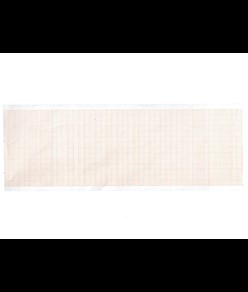 Carta termica ECG 80x20 mm x m - rotolo