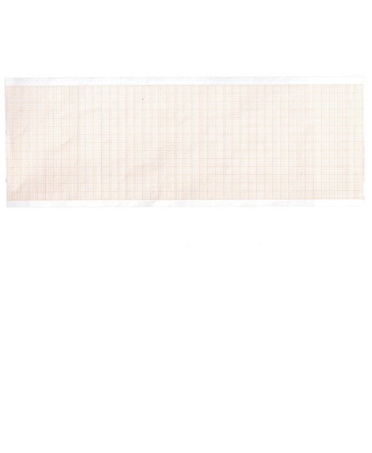 Carta termica ECG 80x20 mm x m - rotolo