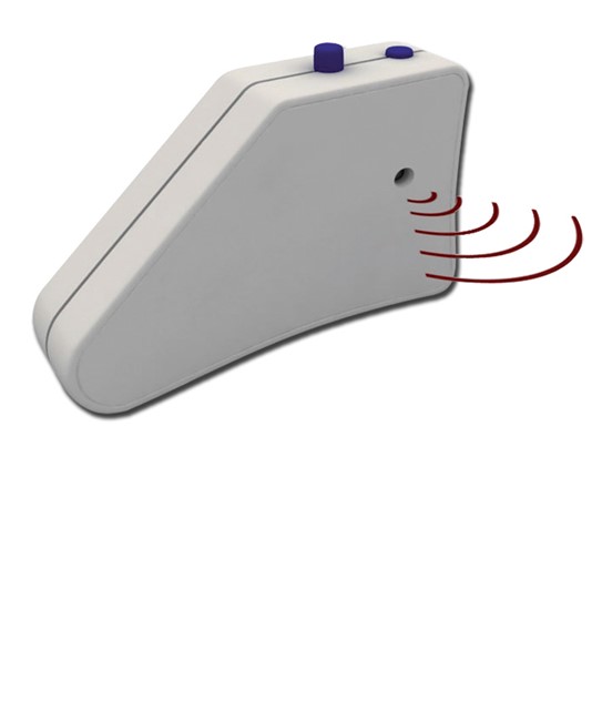 Test uditivo Test uditivo