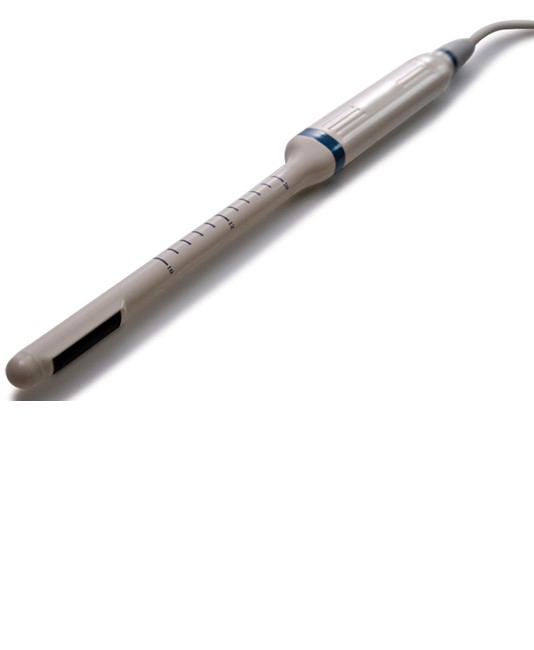 Sonda transrettale Sonda transrettale