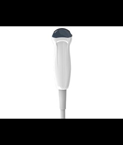 Sonda micro convessa