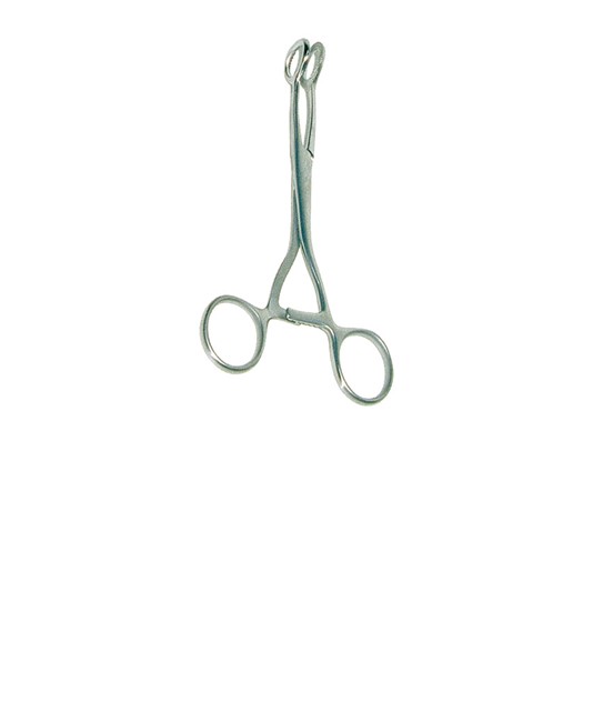 Pinza per anestesia Collin Pinza per anestesia Collin