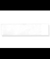 CARTA TERMICA 51mm x 12 m per linea VITAL e UP 7000