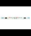 TEST STERILIZZAZIONE CLASSE 4 - doppio