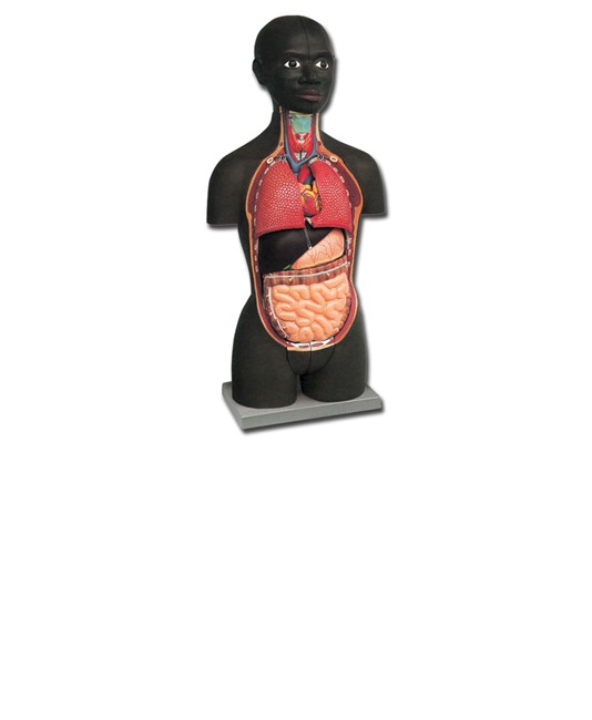Mini torso africano Mini torso africano