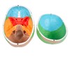 Modello cranio umano colorato Modello cranio umano colorato