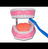 Dentale