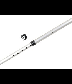 Stampelle  Evolution