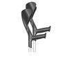 Stampelle Evolution Stampelle Evolution