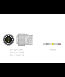 CAVO PAZIENTE ECG 2,2 m - banana - compatibile Cardioline