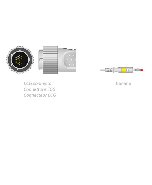 Cavo paziente per ECG Cavo paziente per ECG