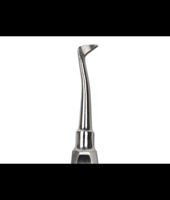 Leva per radici  Seldin