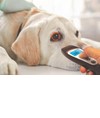 TERMOMETRO A DISTANZA VETERINARIO VISIOFOCUS con Bluetooth