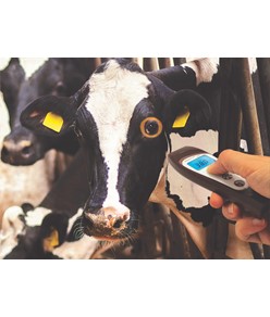 Termometro Visiofocus veterinario Termometro Visiofocus veterinario