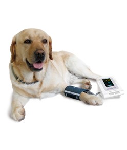 Sfigmomanometro elettronico veterinario Sfigmomanometro elettronico veterinario