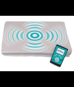 Kit base magnetoterapia veterinaria