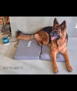 Kit base magnetoterapia veterinaria