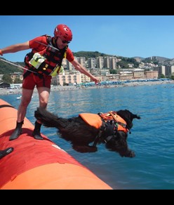 Imbracatura galleggiante per cani Alp Design AD Delphinus