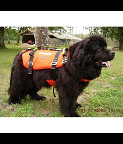 Imbracatura galleggiante per cani Alp Design AD Turtle