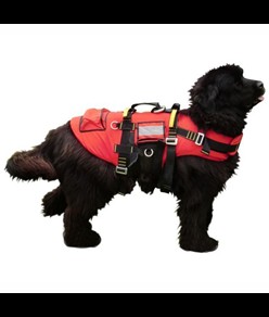 Imbracatura galleggiante per cani Alp Design AD Delphinus