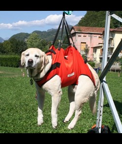 Imbracatura per cani da soccorso Alp Design AD Taxi