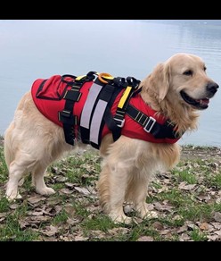 Imbracatura galleggiante per cani Alp Design AD Delphinus