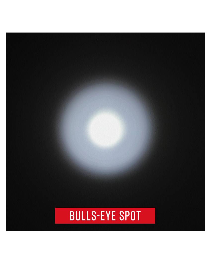 G45 lanterna portatile 400 lumen - in confezione blister Coast