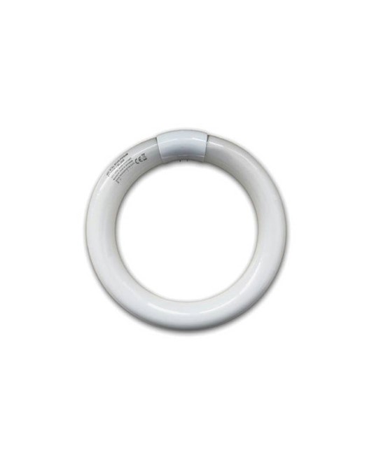 Lampada fluo per sterminatore d'insetti (E 14) Medial Insectivoro Lampada fluo per sterminatore d'insetti (E 14) Medial Insectivoro