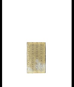 Carta moschicida (195x310 mm) Medial Insettivor Fluo