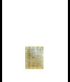 Carta moschicida (195x204 mm) Medial Insettivor Fluo
