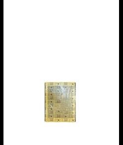Carta moschicida (195x204 mm) Medial Insettivor Fluo