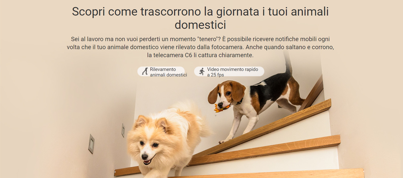 dettaglio telecamera c6 animali domestici