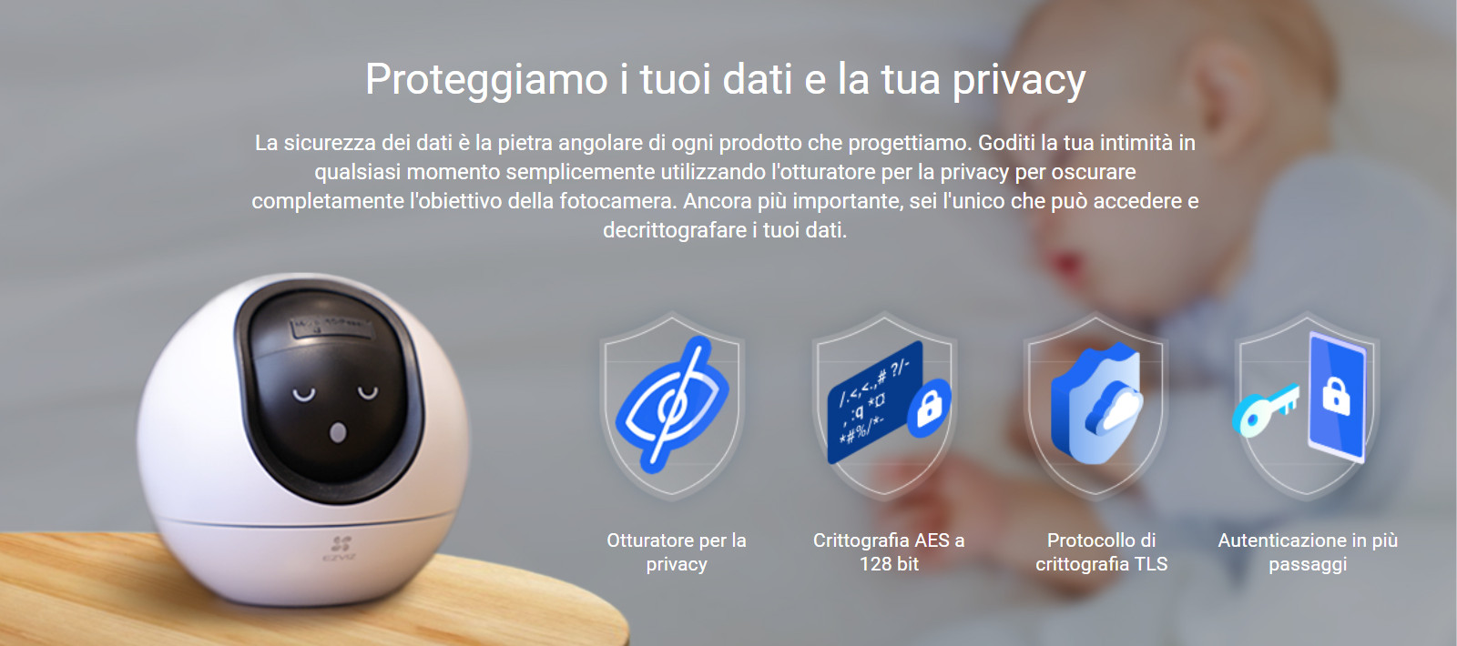 dettaglio telecamera c6 privacy