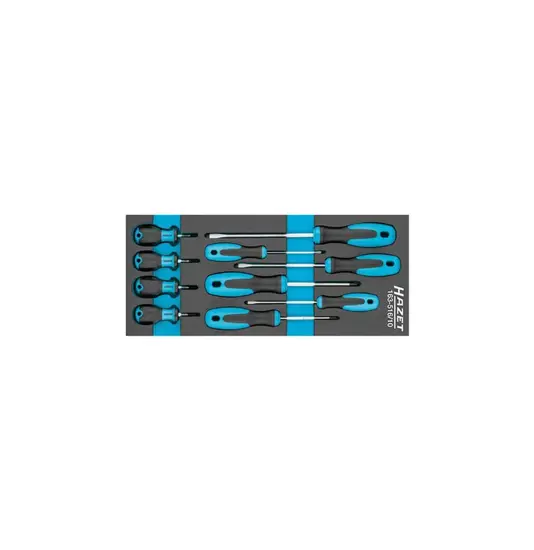 Alloggiamenti con utensili Safety-Insert-System HAZET