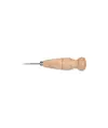Punteruoli