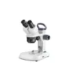 Stereomicroscopio ABC TOOLS