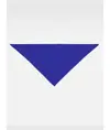 Bandana triangolare Workteam