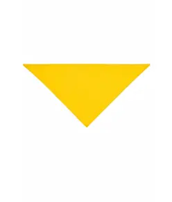 Bandana triangolare Workteam