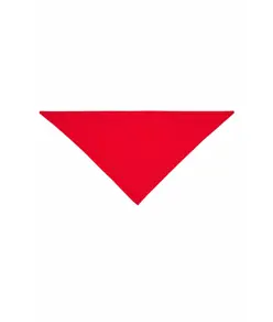 Bandana triangolare Workteam