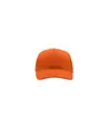 CAPPELLO VISIERA CURVA 5 PANNELLI Atlantis